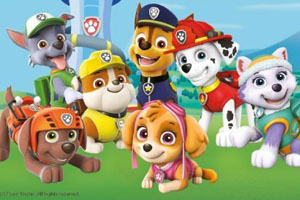 paw patrol bursdag