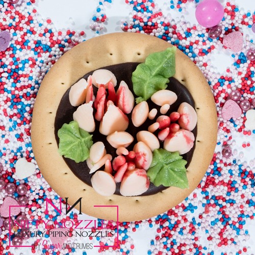 Nifty Nozzles russian tipp -5 Petal Tulip-