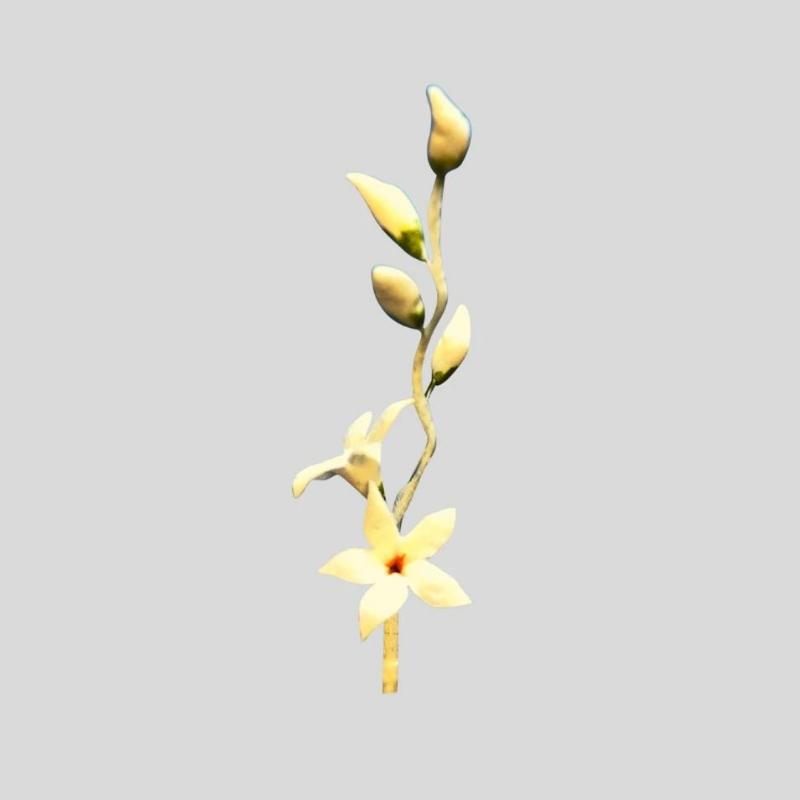 FMM utstikker jasmin og calyx blomst