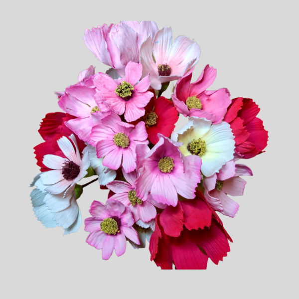 FMM Utstikker -Kosmosblomster- sett/3