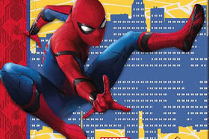 Spiderman bursdag