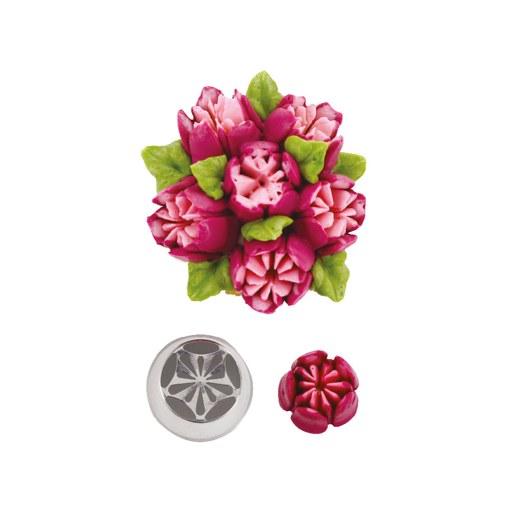 Decora Russisk tipp tulipan