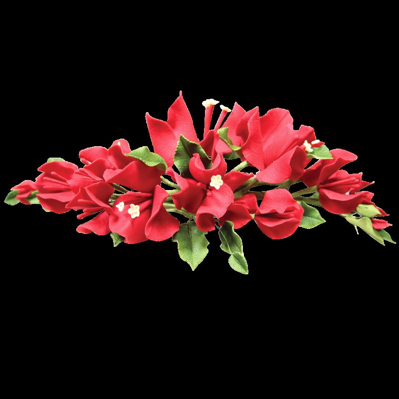 vakre blomster til kakepynt