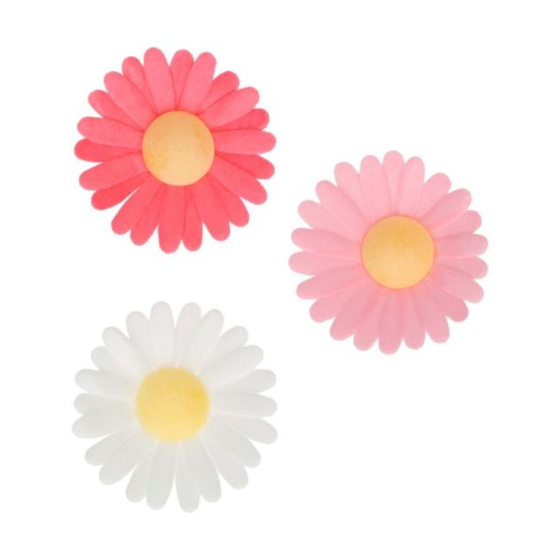 Spiselig kakepynt blomster prestekrage
