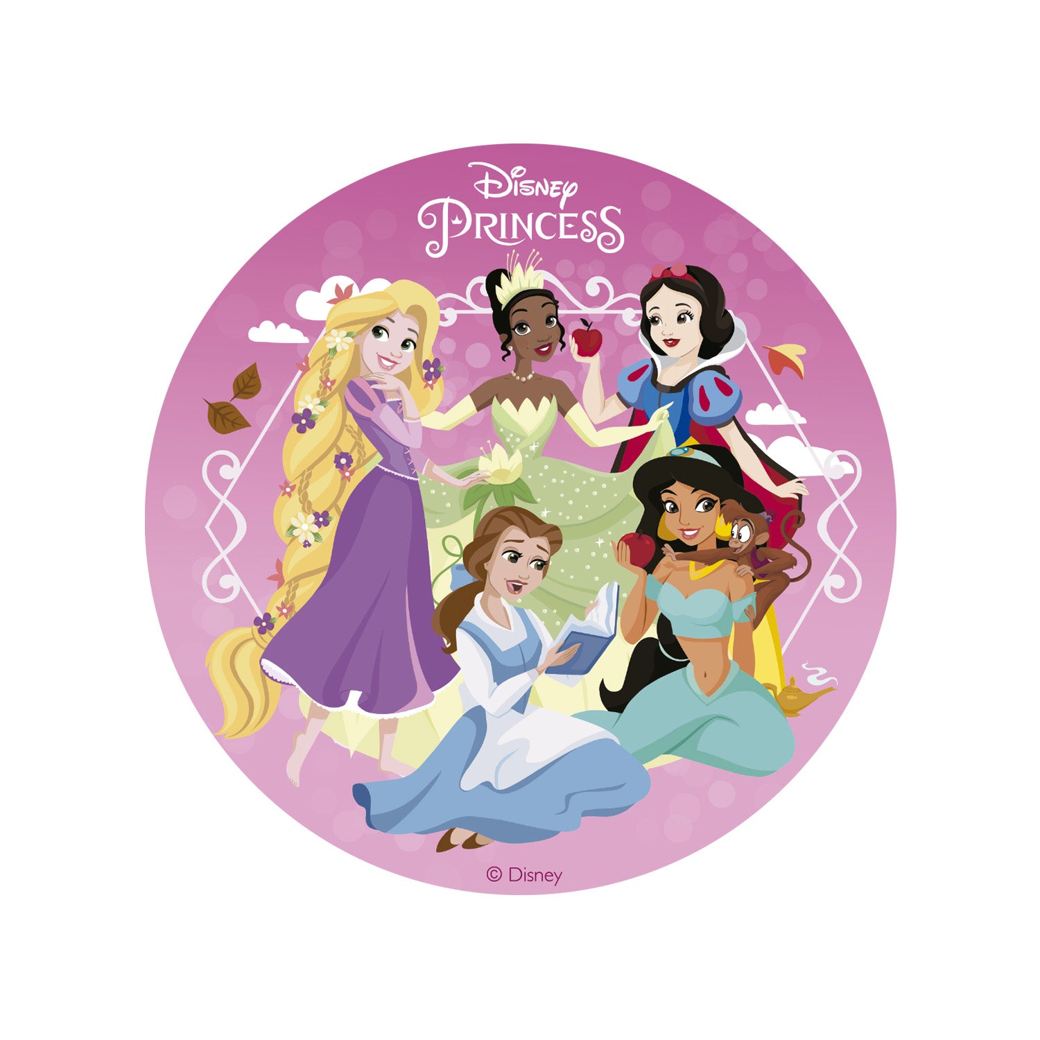 Kakebilde disneyprinsesser