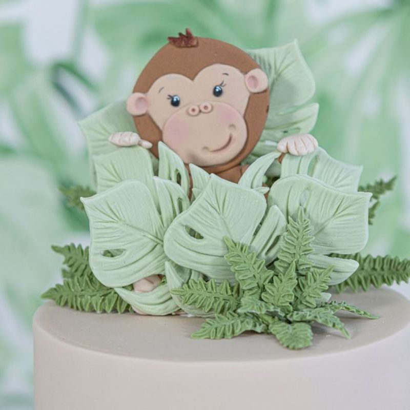 Fondantmould apeansikt