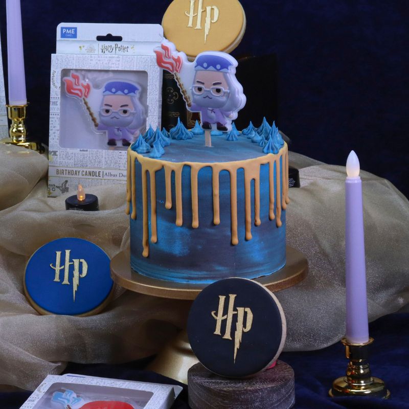 Harry Potter kakelys -Albus Humlesnurr- pk/1