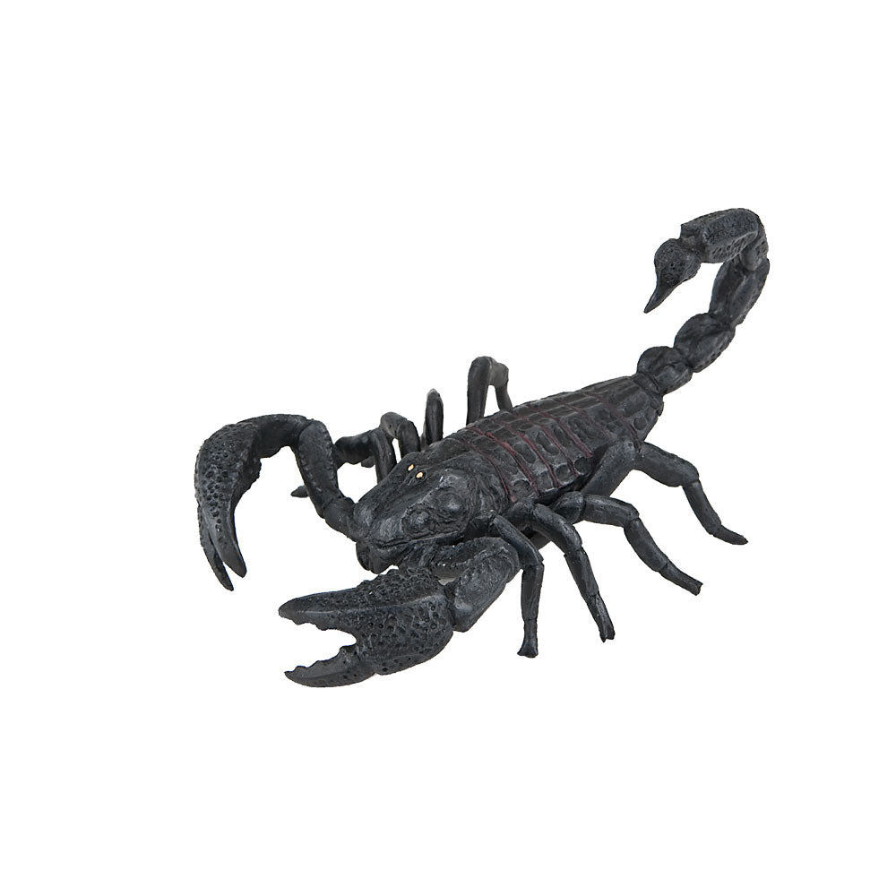 Kaketopp i plast, Skorpion