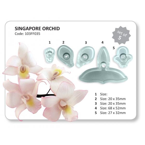 Singapore &amp; Baby Orchid Set Of 8