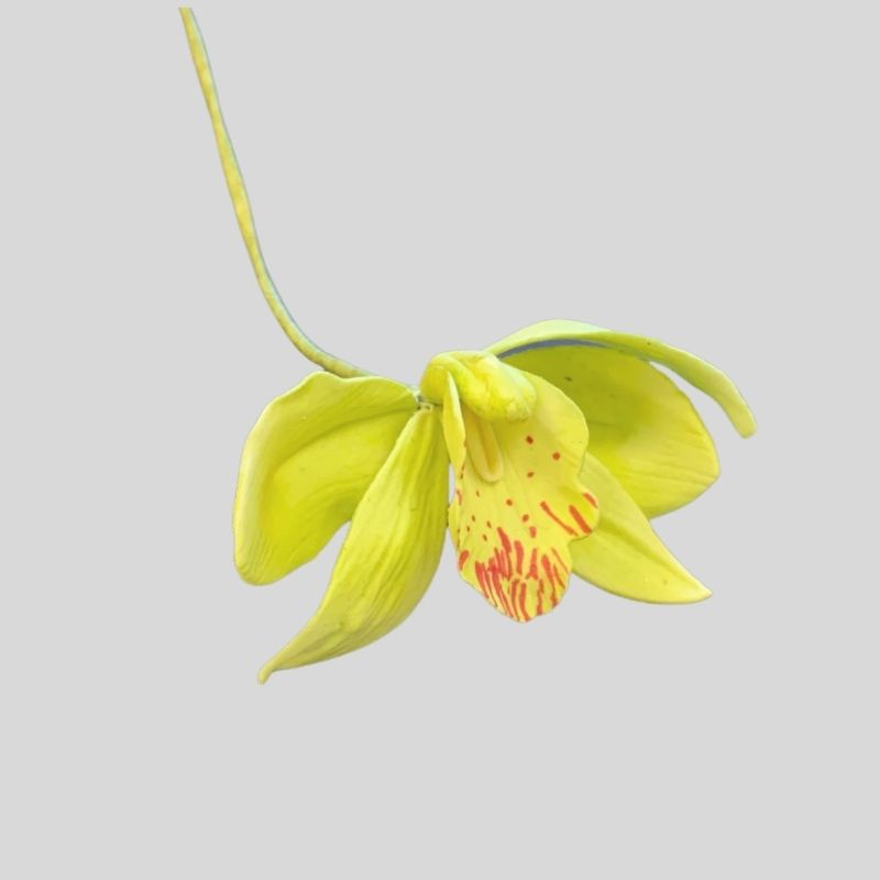 FMM Utstikker -Cymbidium orkidé- sett/3