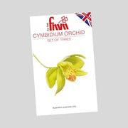 FMM Utstikker -Cymbidium orkidé- sett/3