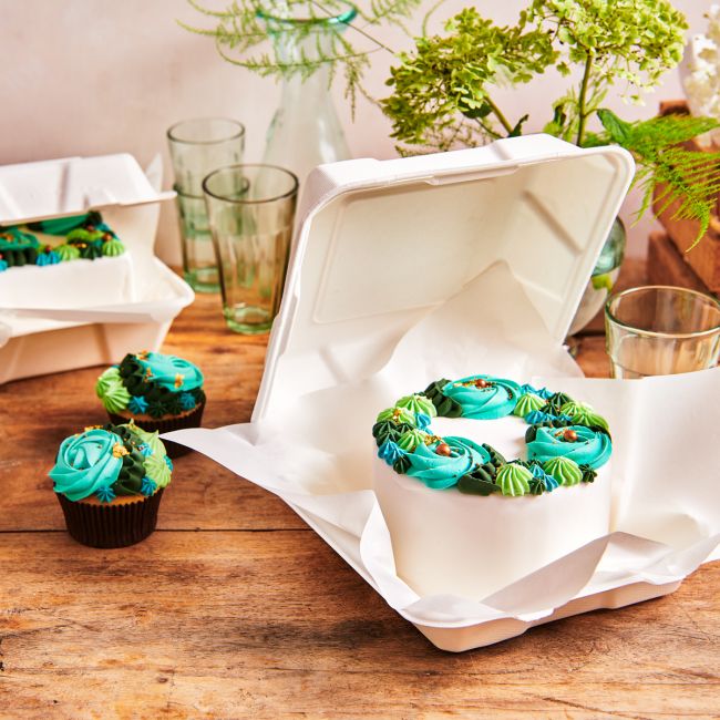 Bento cake box