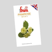 FMM utstikkersett til primula blomster