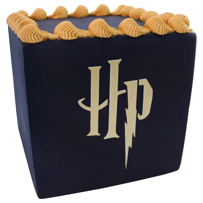 Harry Potter Kakestensil -HP logo-, Stor