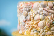 Karen davies sugar shells mould