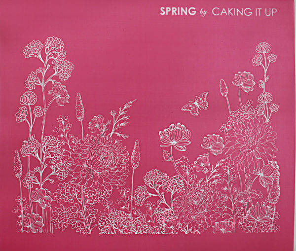 Caking It Up Mesh Stensil Spring
