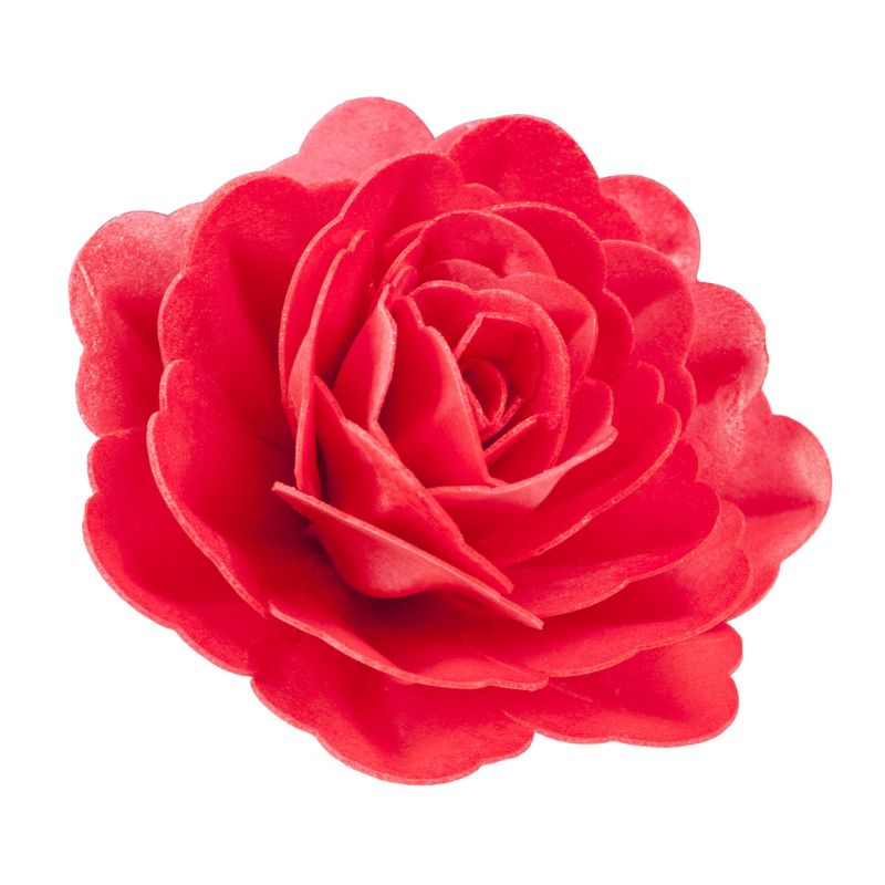 Stor spiselig rose
