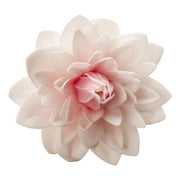 Stor spiselig dahlia