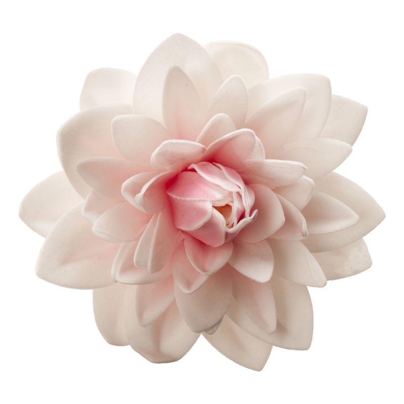 Stor spiselig dahlia