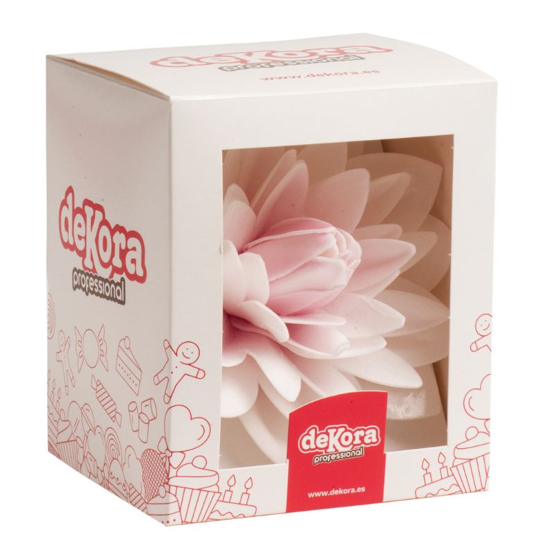 Stor spiselig dahlia rosa