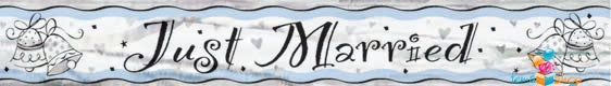 Banner - just married 