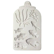 katy sue mould fisk, tang og korall