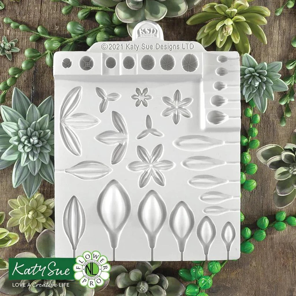 Produktbilde av Katy Sue Mould – sukkulenter