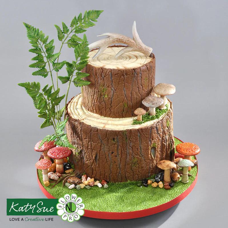katy sue trestump kake