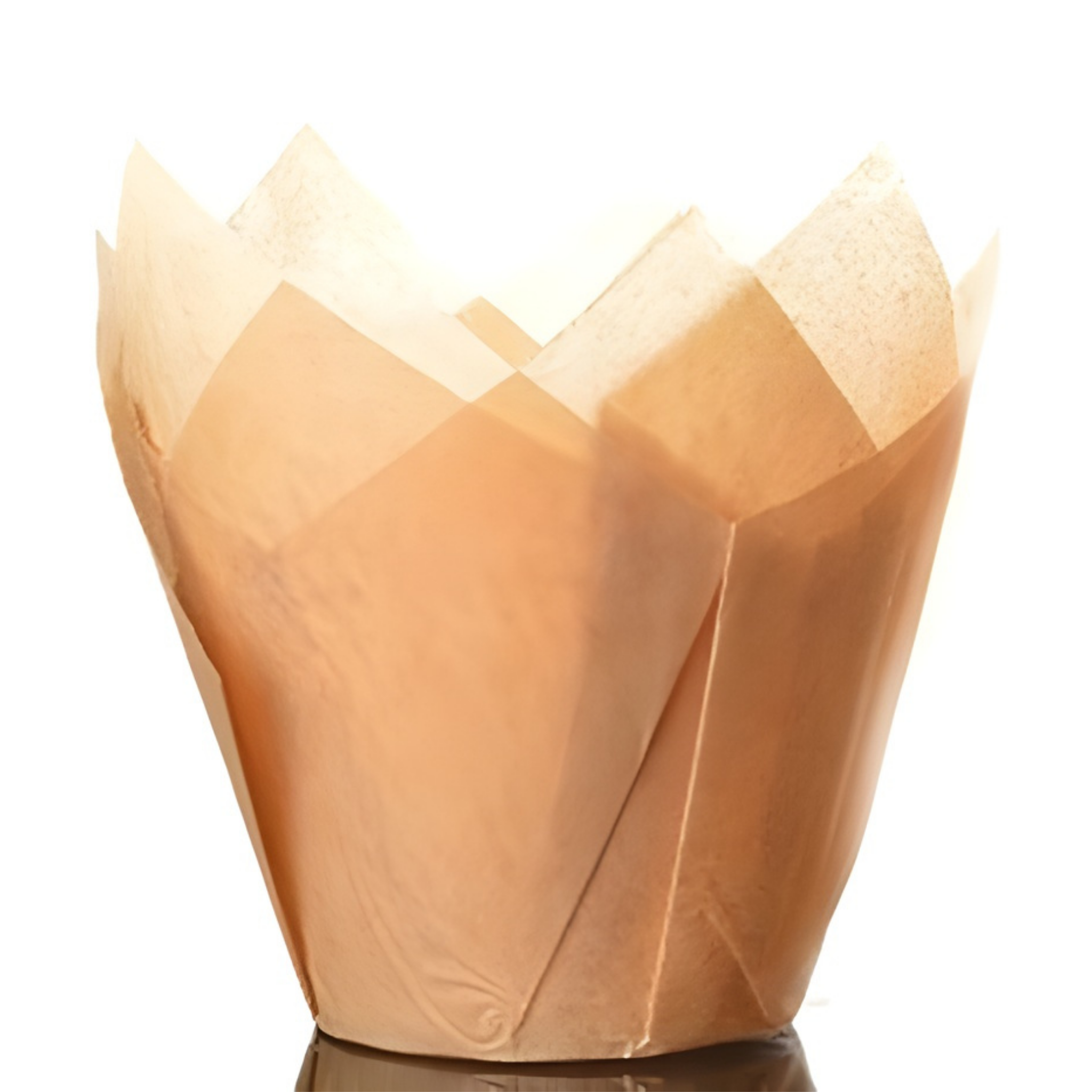 Culpitt Tulipan muffinsform Caramel, 50 stk