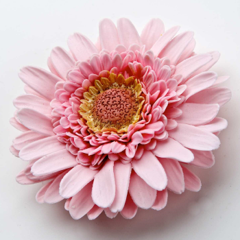 blomster til kake gerbera