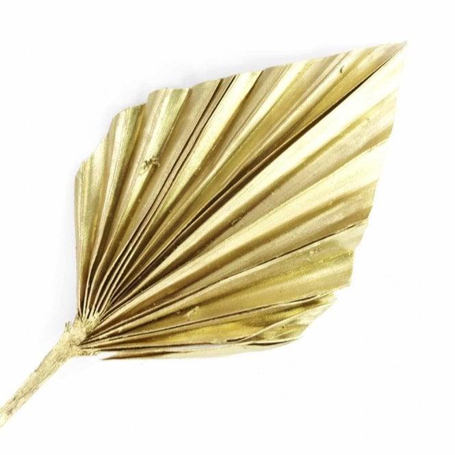 tørket palme vifte gull