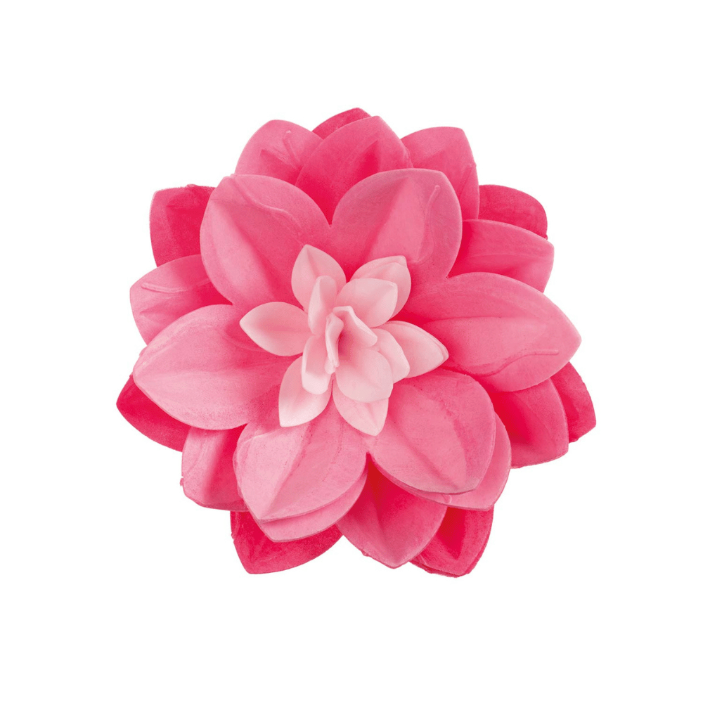 Spiselig vannlilje i rosa rispapir, 14 cm - perfekt kakedekorasjon fra Dekora