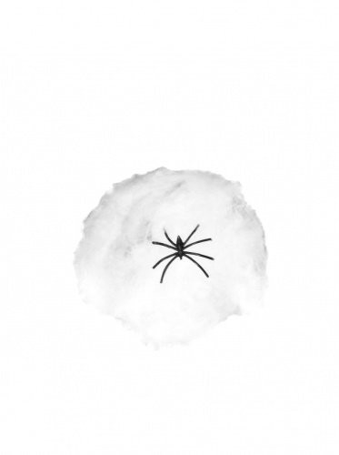 Dekor, Spindelvev med edderkopp, 3g - *Maks 5 pr kunde*
