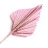 adamapple rosa palmeblad til dekorasjon
