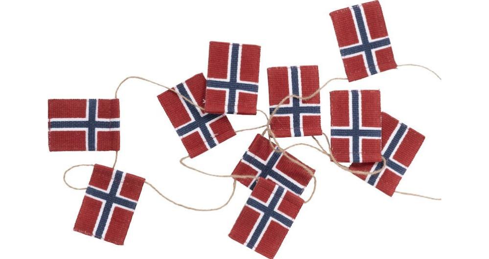 Bilde av Norsk Flagg På Snor 2m
