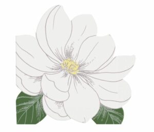 Servietter hvit blomster små